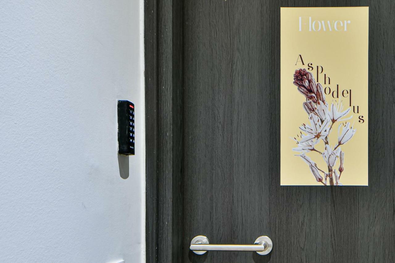 Flowers Of Athens, Boutique Aparthotel With 6-Apartments In Central Athens Exterior photo